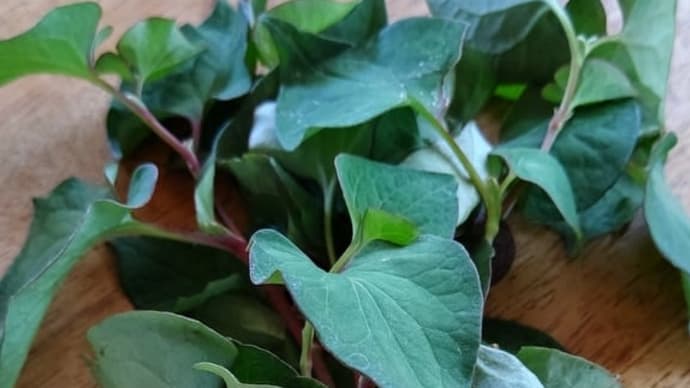 ハッシュタグ 手当法 Goo Blog Gooブログ