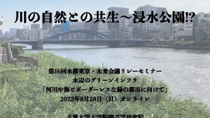 川の自然との共生:浸水公園!?