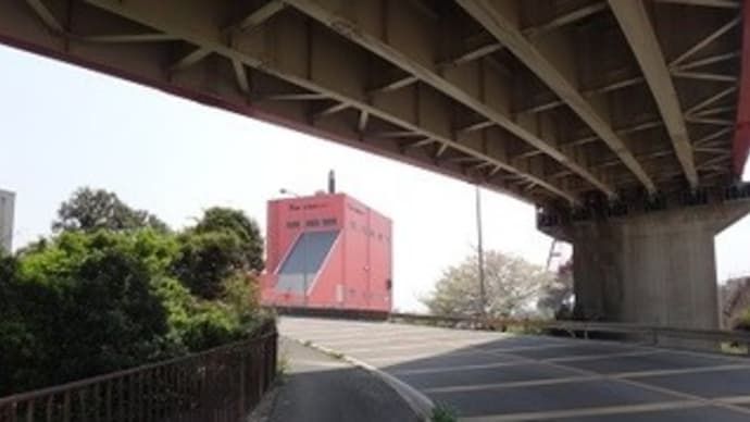 紀の川で深呼吸して4