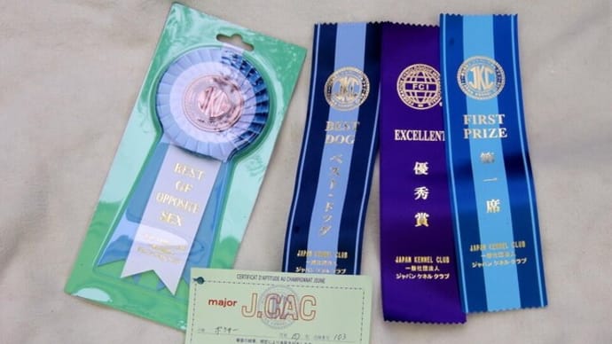 ドッグショー ( Dogshow )