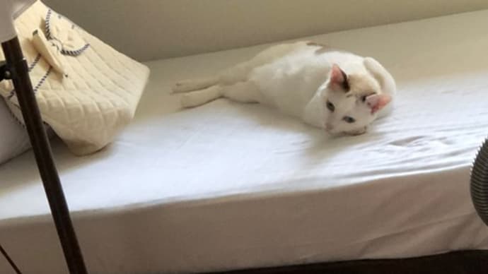 なな、おトイレその後。