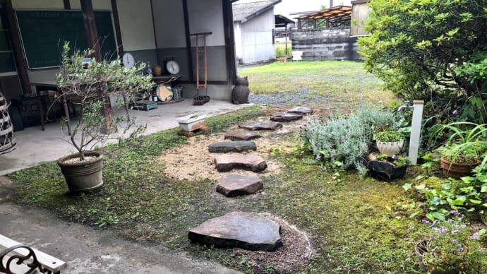 飛び石とミント
