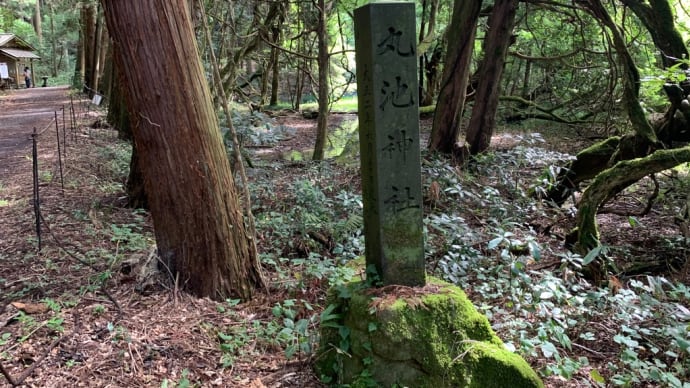 丸池様