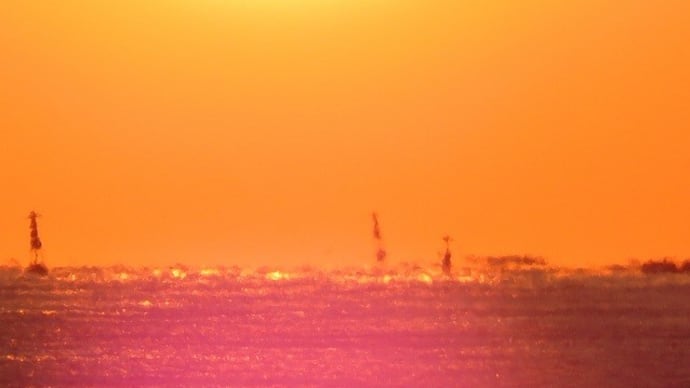 11月25日の夕日