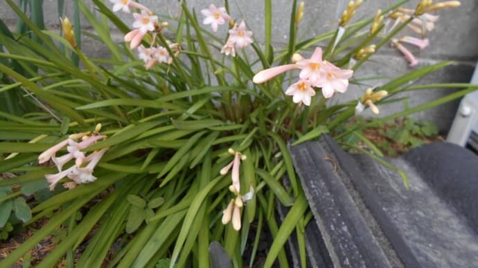 今日は色々あったなぁ~