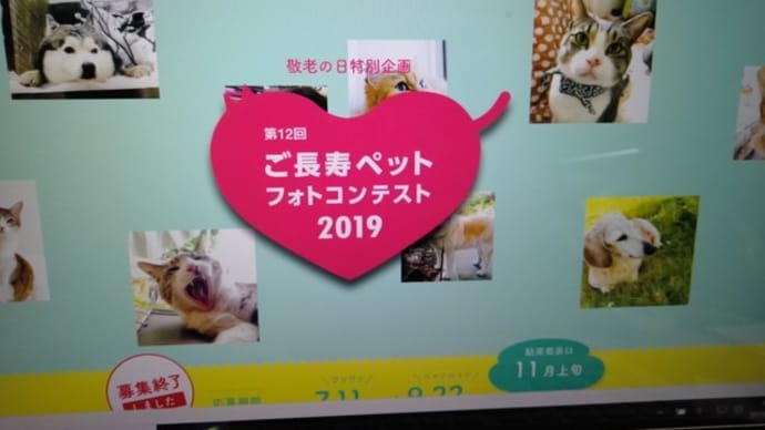 ご長寿ペットフォトコンテスト2019 エントリー完了しました。