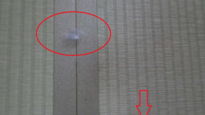 耐えるうさぎと耐えないねずみ