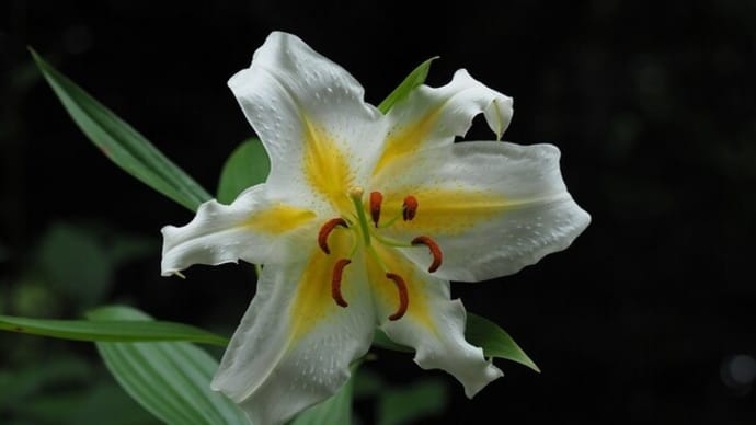 神代植物公園・植物多様性センターにて1