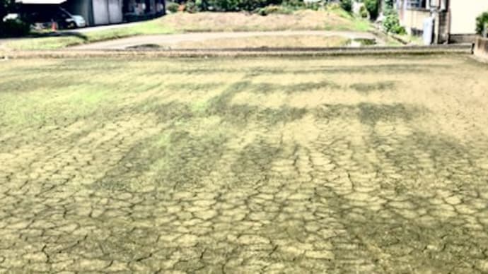 田園の減少と食料自給率、そして・・・・