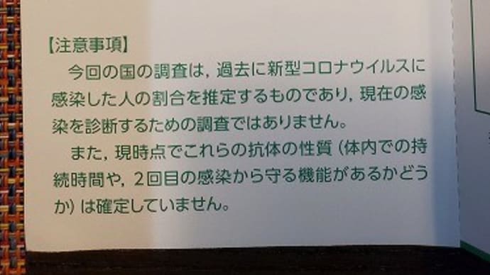 新型コロナ抗体検査の結果が出たーー!