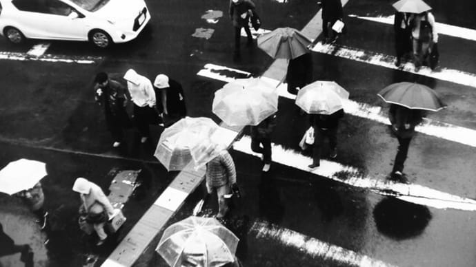 超増感で撮った雨の日曜日。。