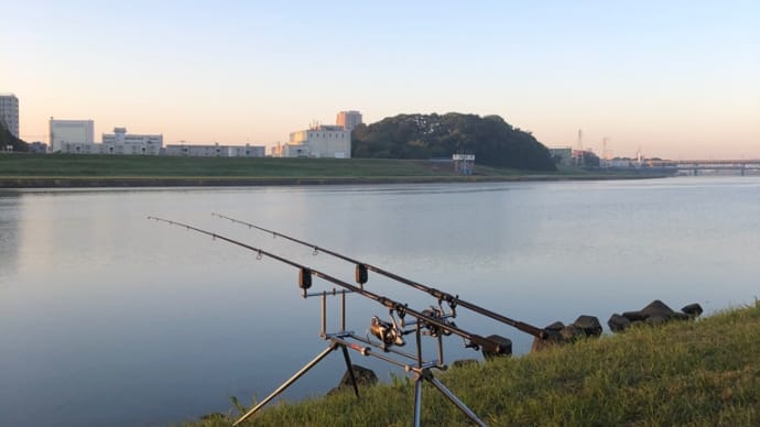 11月9日の鯉釣り