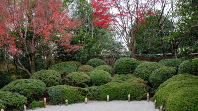 京都の寺院庭園・・・丈山苑に
