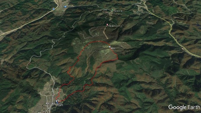 十種ヶ峰のヤマシャクを観に登山