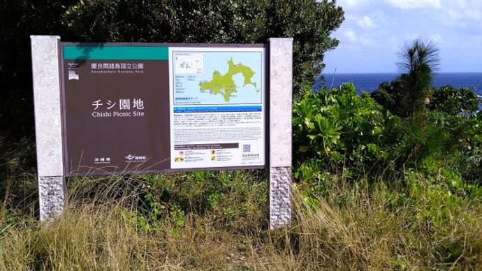 座間味島巡り１