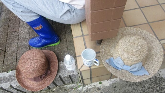 畑仕事をしていたら、締め出し💦