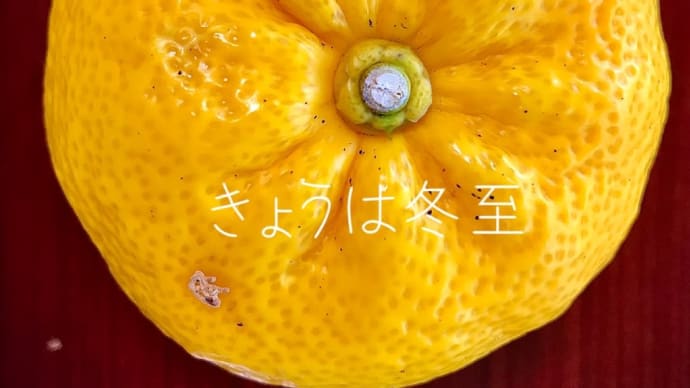今日は冬至