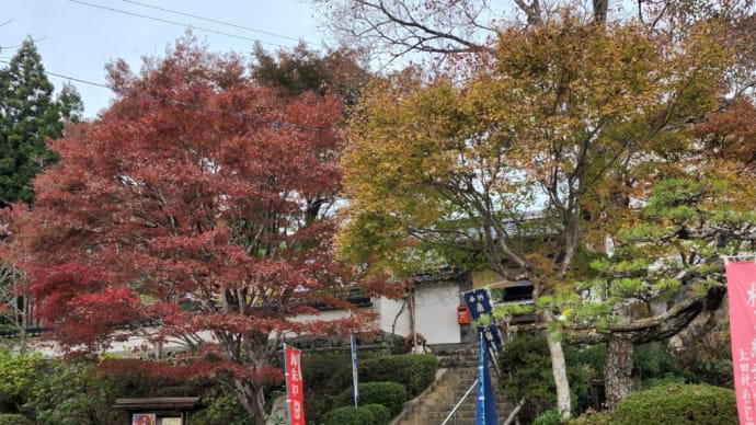紅葉と桜の寺