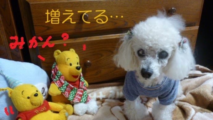 やっと穏やかな晴れだけど…(*´∇`*) またやってくる南岸低気圧…
