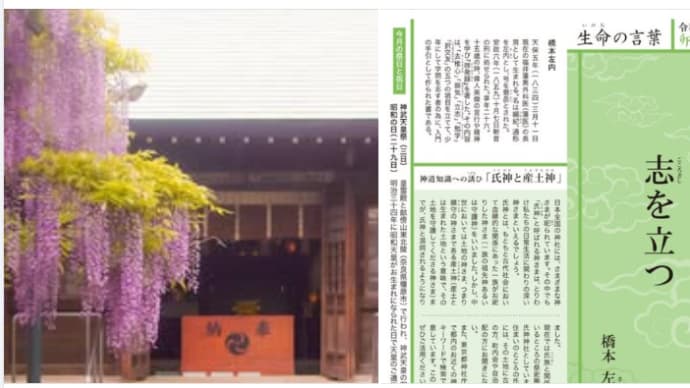 令和七年四月「生命の言葉」橋本左内 ・「氏神と産土神」「千年乃藤」⛩