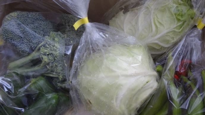 ふるさと納税で自然栽培野菜が揖斐川町から