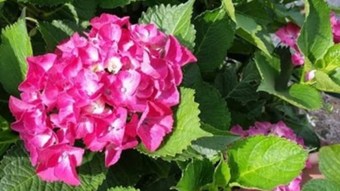 冷やしマスク(保冷剤入)で、夏テニスもバッチリ!