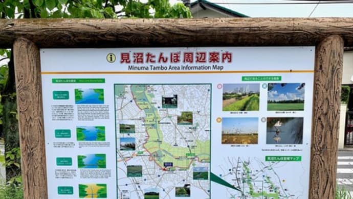 見沼代用水西縁を大宮第二公園まで