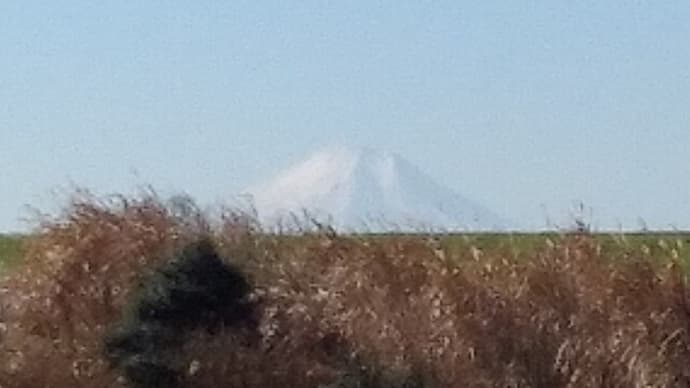 穏やかな日に富士山