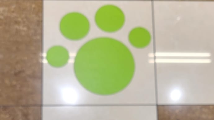 ワンワンワン 犬の日です。