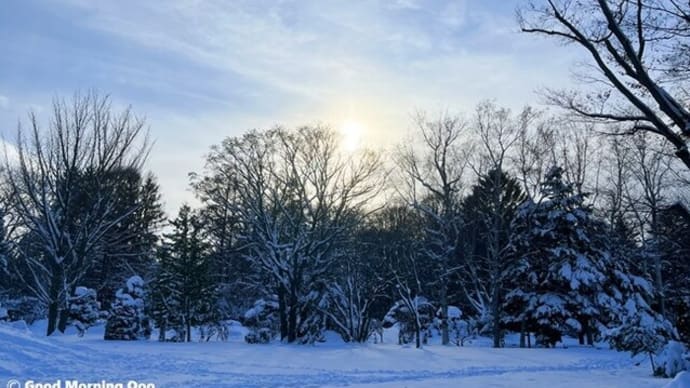 クーの為に雪を降らせてくれてありがとー💖