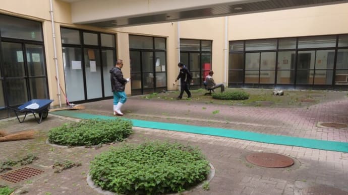 ホーム中庭草取り!!