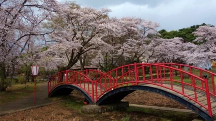 烏ヶ森公園の桜 2023/3