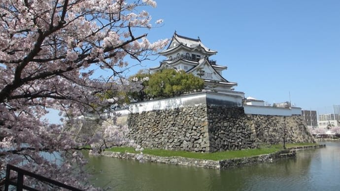 岸和田城と散りゆく桜