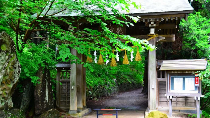 小坂公園の紫陽花