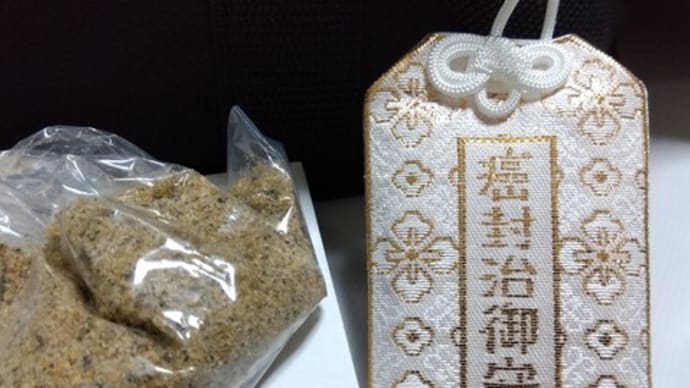 伝 ノグチサトキ