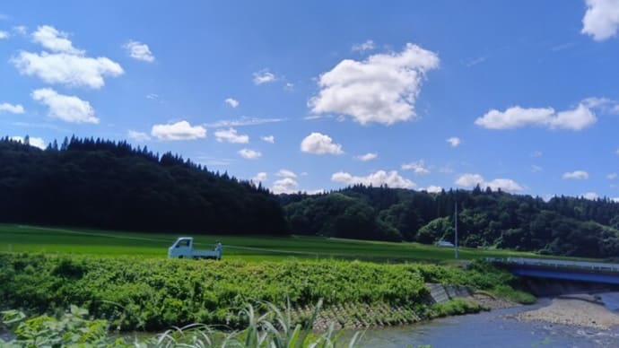 東北の夏