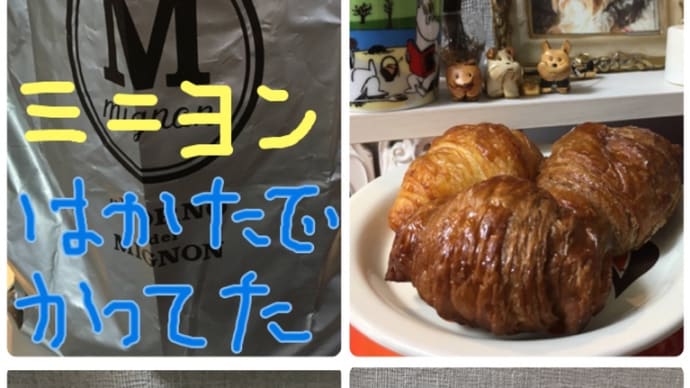 頑張ってもらいたかった「岩手県」 そして「ミニヨン」のクロワッサンと、ちびわんこくん25回目の月命日。