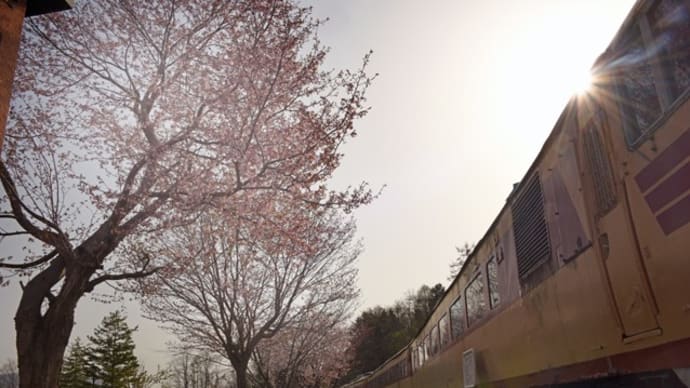 2024/04/27(土)曇り、クロフォード公園(旧三笠駅)で見る日の出☆