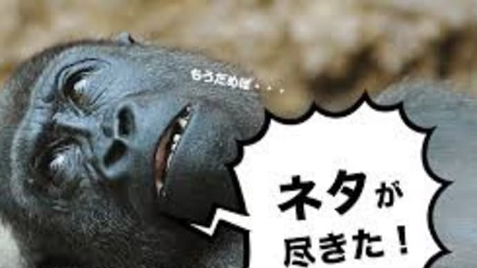 久々のネタ切れブログでございます!