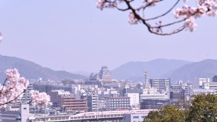 キティ新幹線・キヤ１４１ と 桜 姫路市