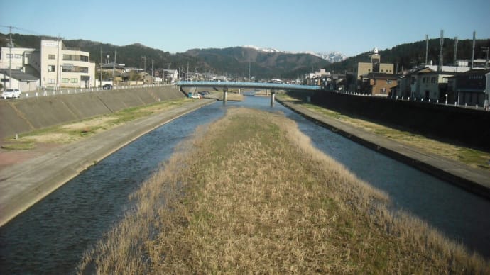 加茂川に　サケ遡上して　小京都・・