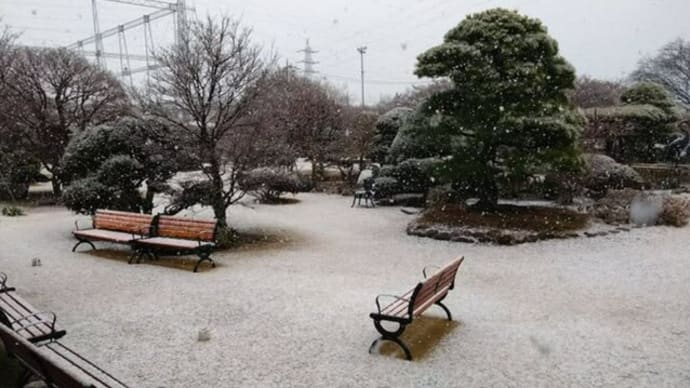 雪。