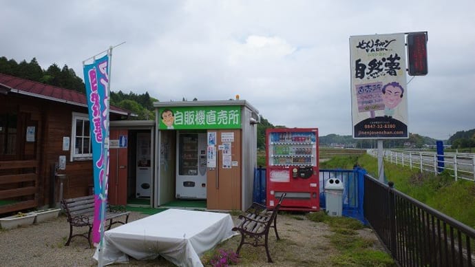 甲奴町の須佐神社で外国の方と出会う