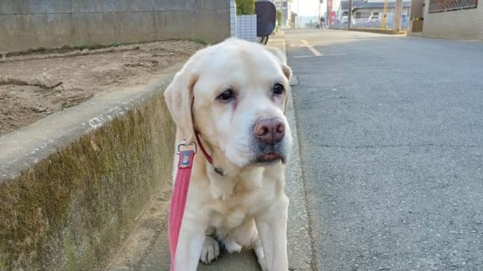 16歳1ヶ月
