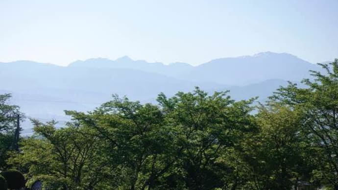 修学旅行引率