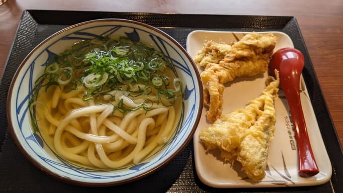 丸亀製麺　かけうどん(並)と天ぷら2個