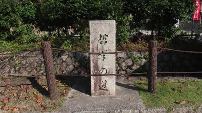 京都ちょこっと散歩~哲学の道をぼーっと歩く