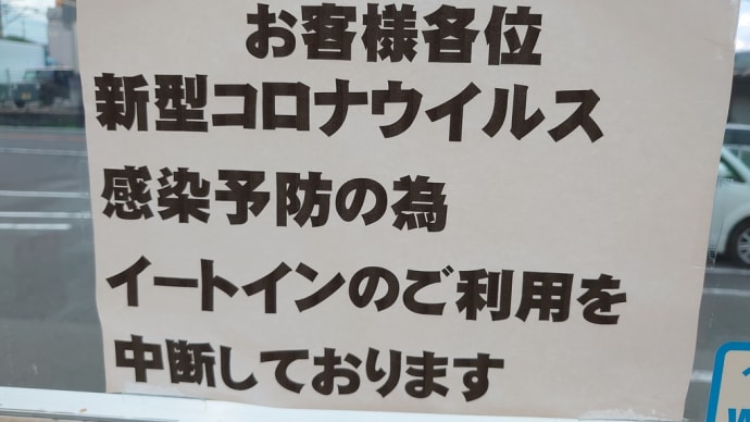 ハイビスカス