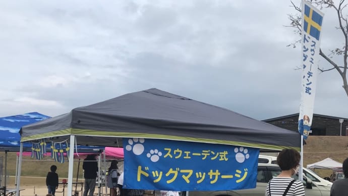11月13日のご報告