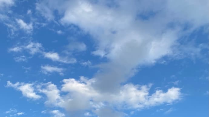 ラヴィット!